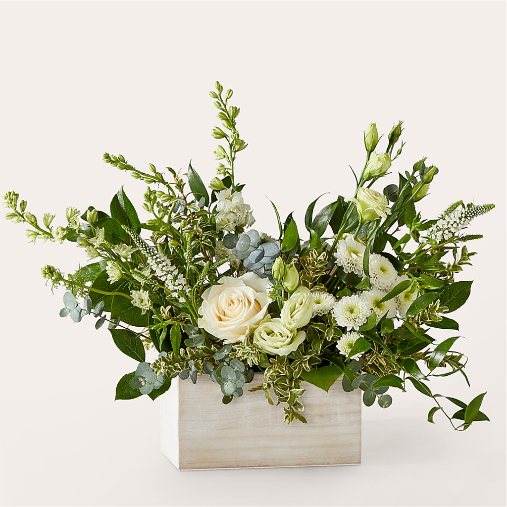 Cashmere Bouquet – Still Blooming, Santa Fe TX