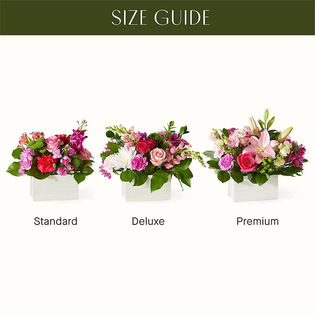 Sweetberry Box – A Florist Original – Still Blooming, Santa Fe TX