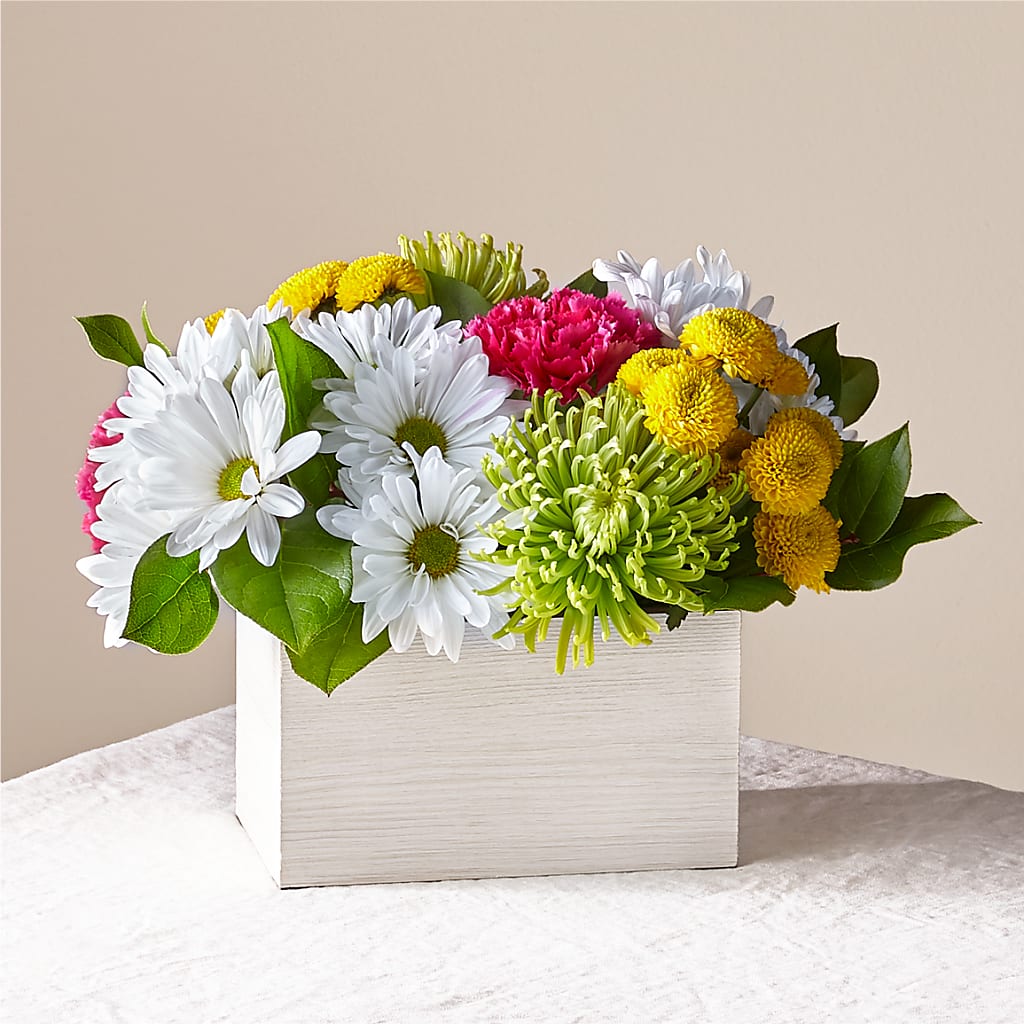 Sorbet Bouquet – Still Blooming, Santa Fe TX