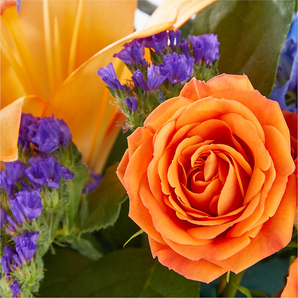 Radiant Citrus Box Bouquet – Still Blooming, Santa Fe TX