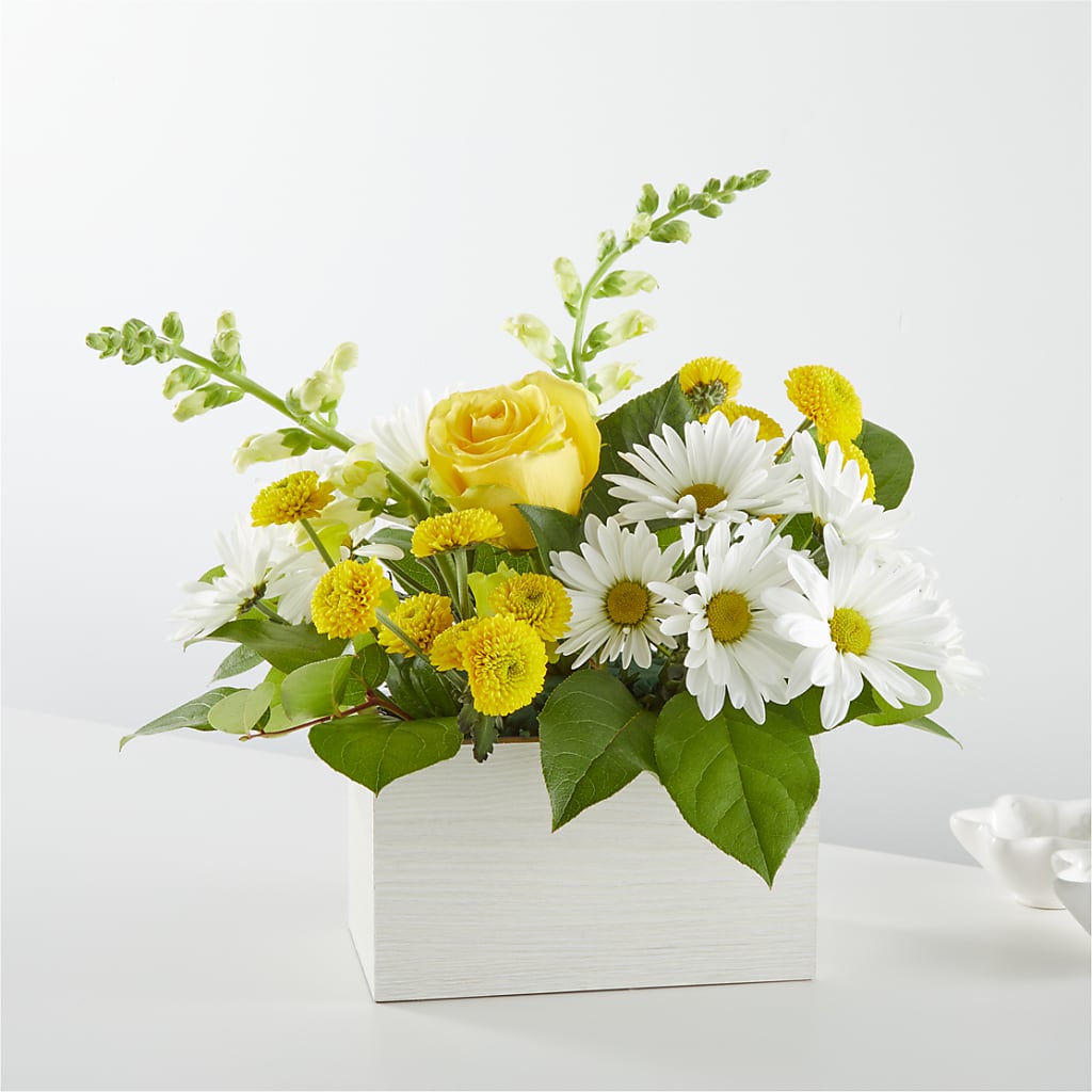 Sun Salutation Box Bouquet – Still Blooming, Santa Fe TX