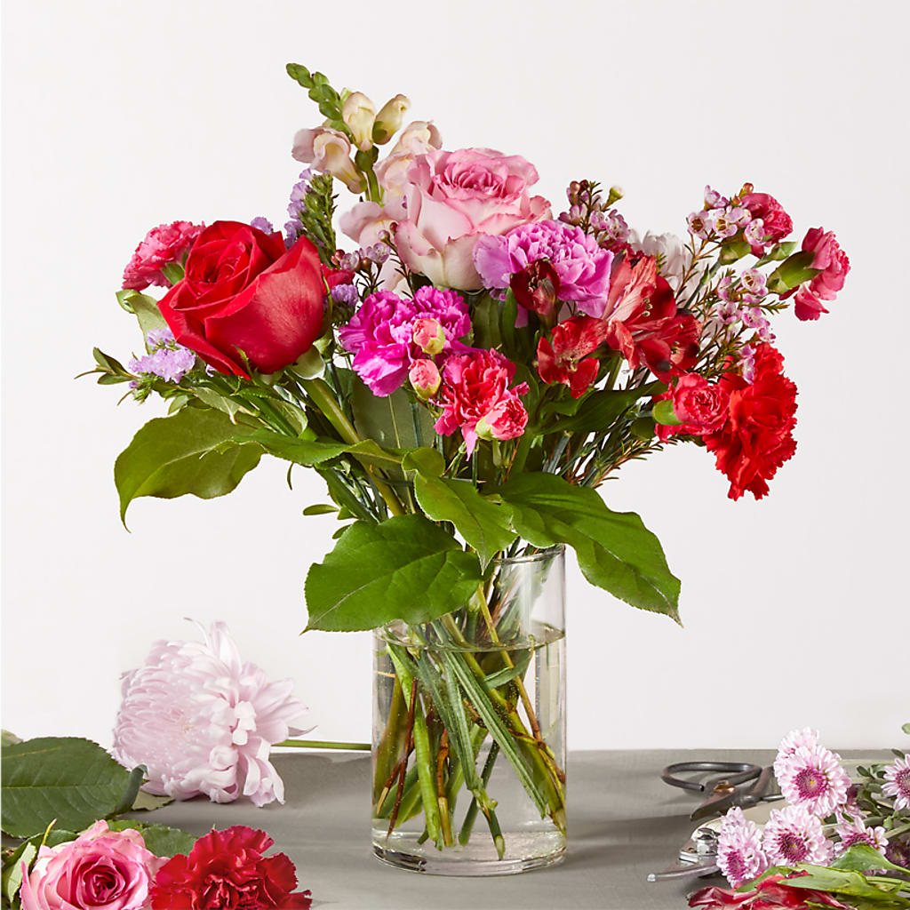 Regal Jewel – A Florist Original – Still Blooming, Santa Fe TX