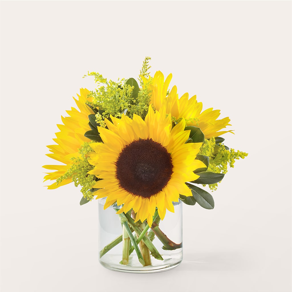 Beaming Sunflower Bouquet – Still Blooming, Santa Fe TX