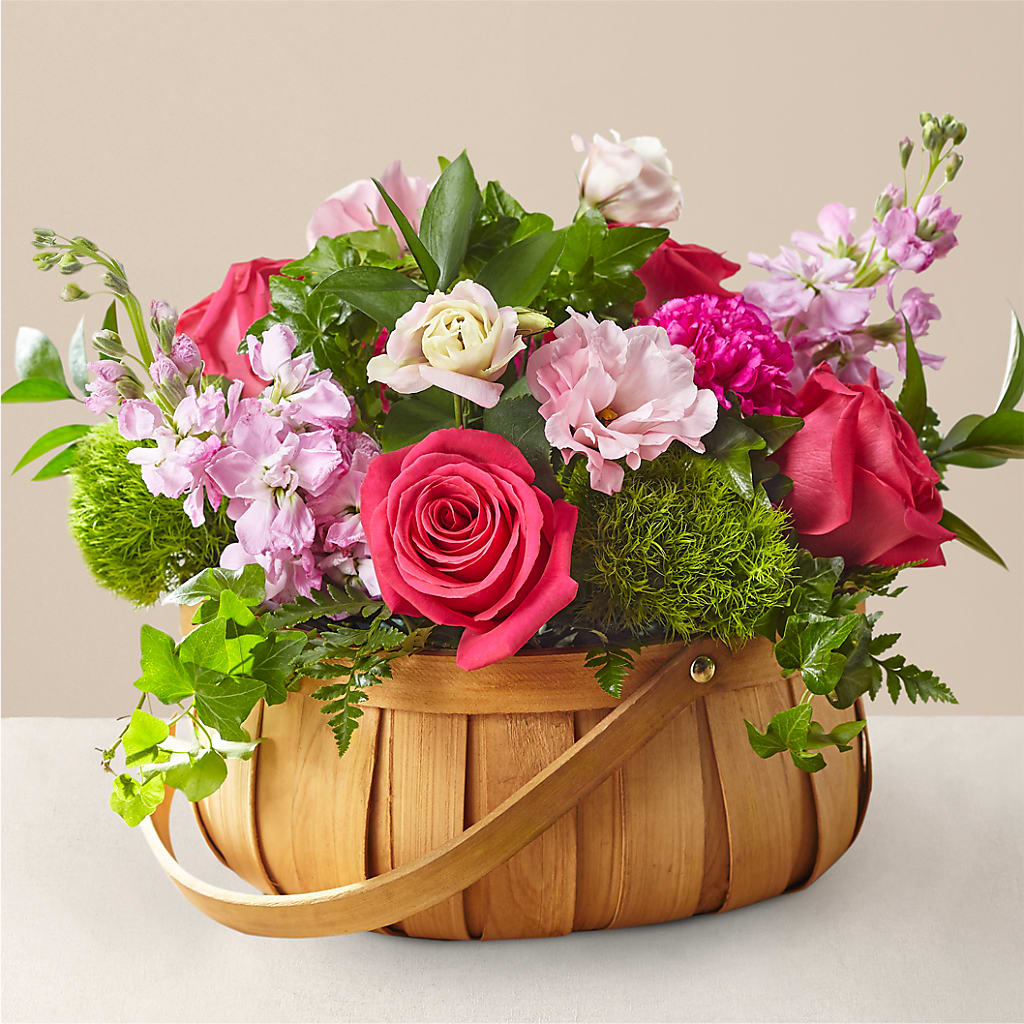 Radiance in Bloom Basket – Still Blooming, Santa Fe TX