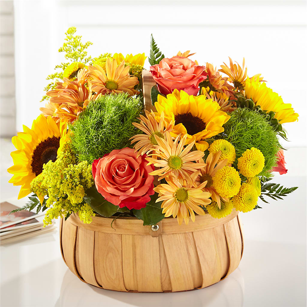 Harvest Sunflower Basket – Still Blooming, Santa Fe TX