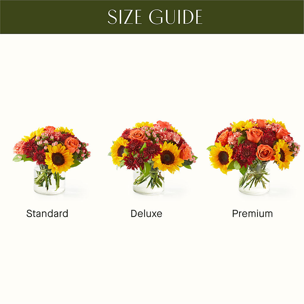 September Sunset Bouquet – Still Blooming, Santa Fe TX
