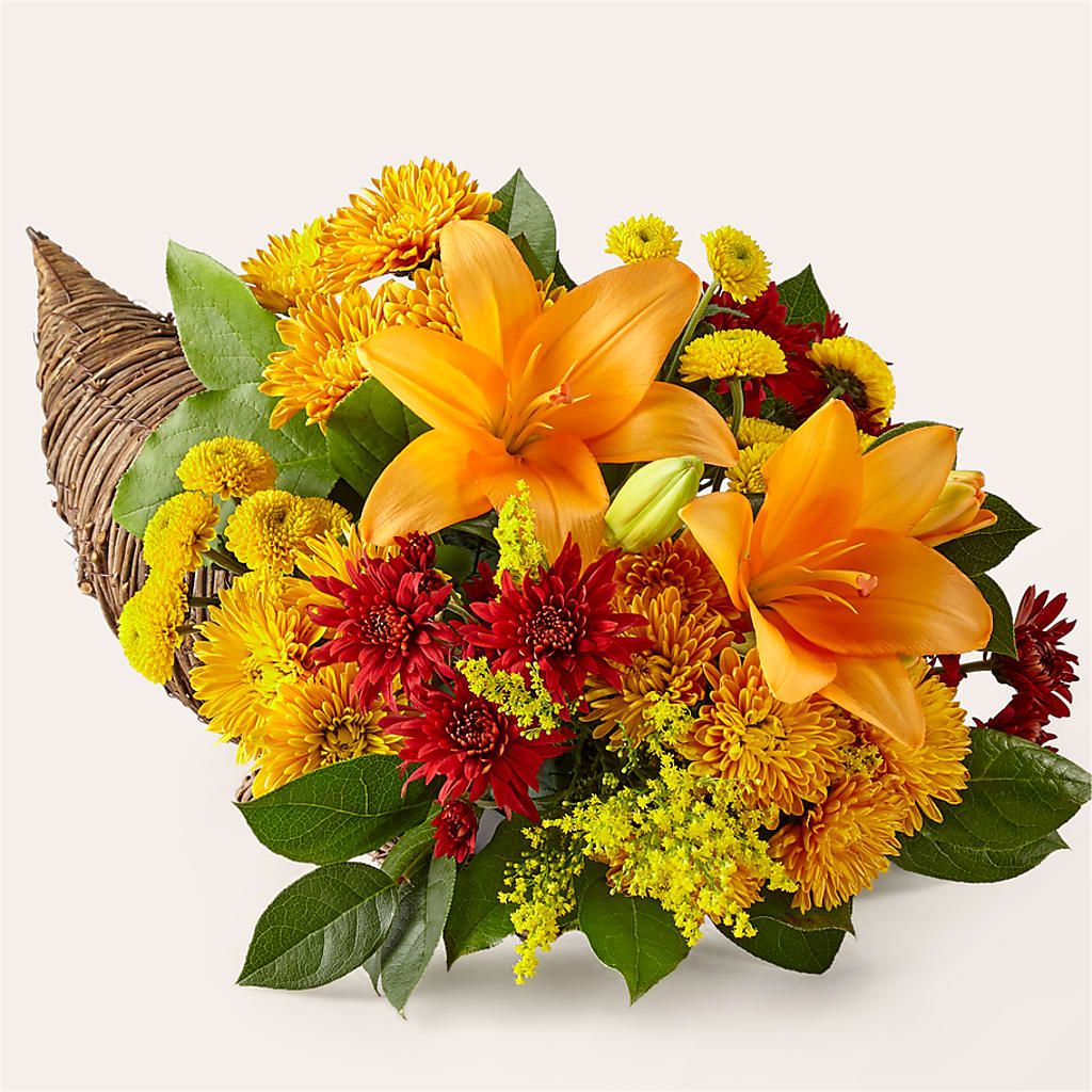 Feast of Color Cornucopia – Still Blooming, Santa Fe TX