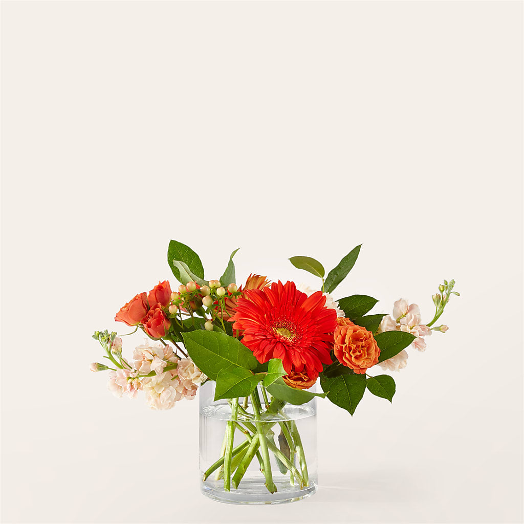 Paloma Please Bouquet – Still Blooming, Santa Fe TX