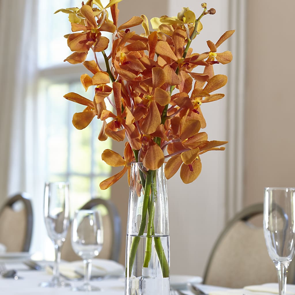 Orange Mokara Bud Vase – Still Blooming, Santa Fe TX
