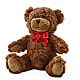 Adorable Plush Bear –  Still Blooming, Santa Fe TX
