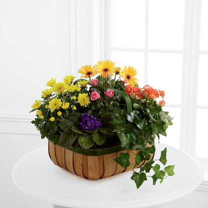 Gentle Blossoms Basket –  Still Blooming, Santa Fe TX
