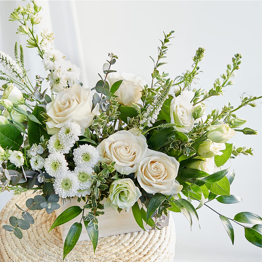 Cashmere Bouquet –  Still Blooming, Santa Fe TX