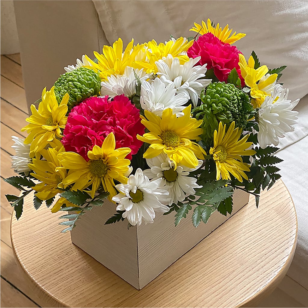 Sorbet Bouquet –  Still Blooming, Santa Fe TX