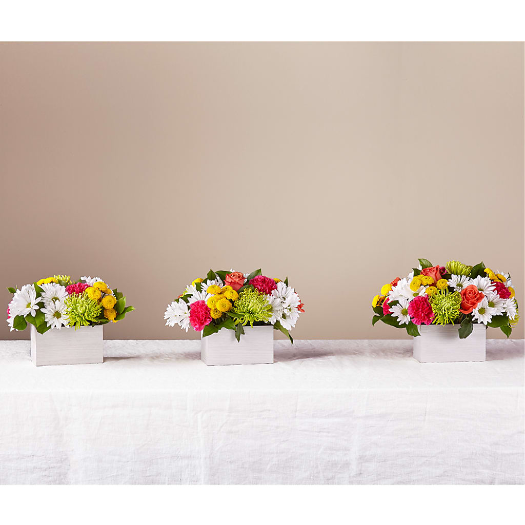 Sorbet Bouquet –  Still Blooming, Santa Fe TX