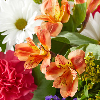Oopsie Daisy Box Bouquet –  Still Blooming, Santa Fe TX