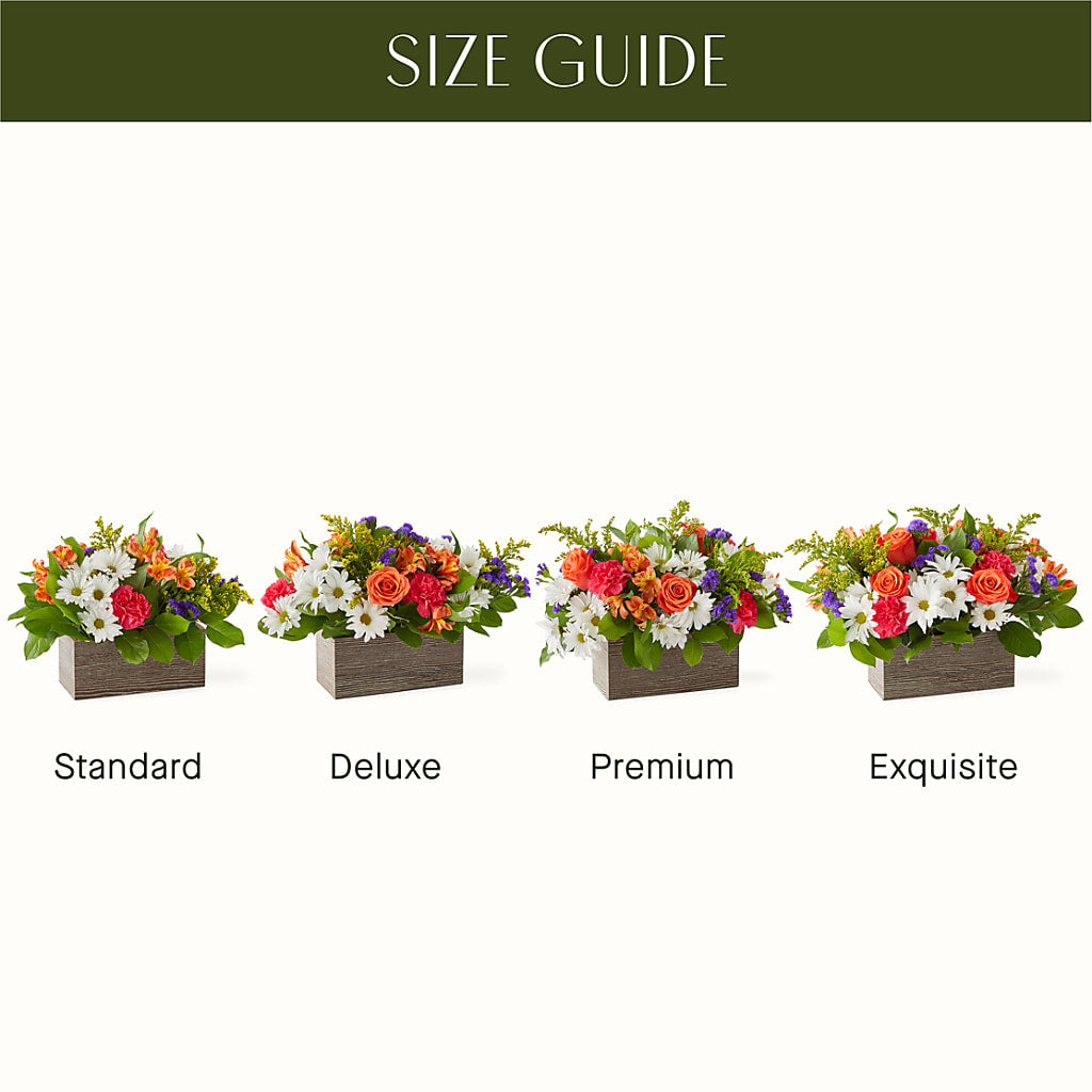 Oopsie Daisy Box Bouquet –  Still Blooming, Santa Fe TX