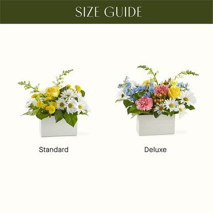 Sun Salutation Box Bouquet –  Still Blooming, Santa Fe TX