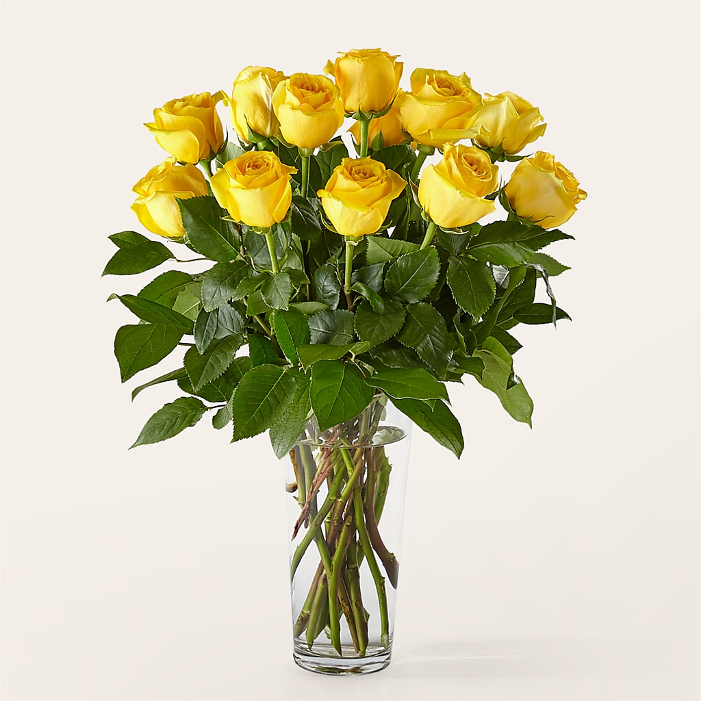 Long Stem Yellow Rose Bouquet –  Still Blooming, Santa Fe TX