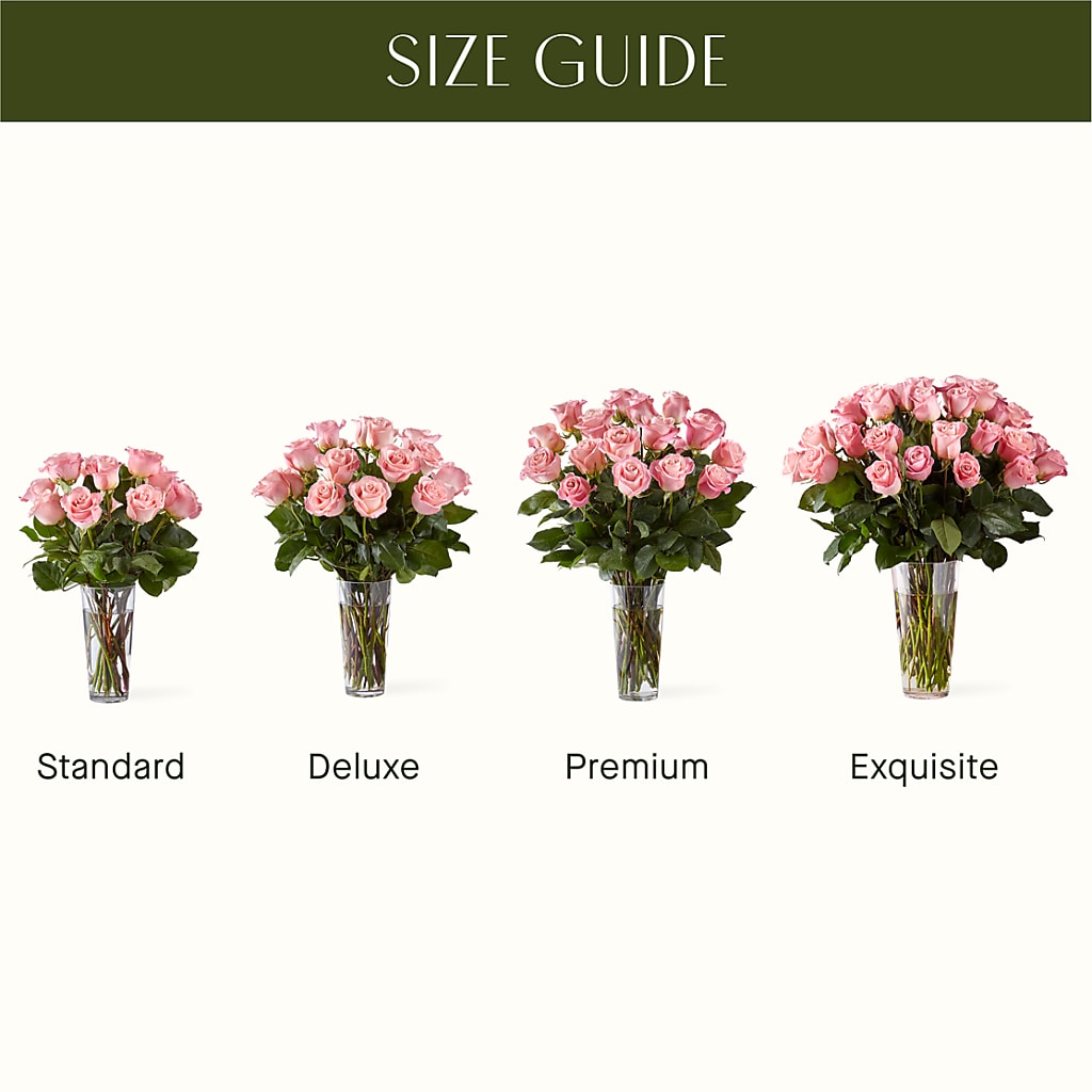 Long Stem Pink Rose Bouquet –  Still Blooming, Santa Fe TX
