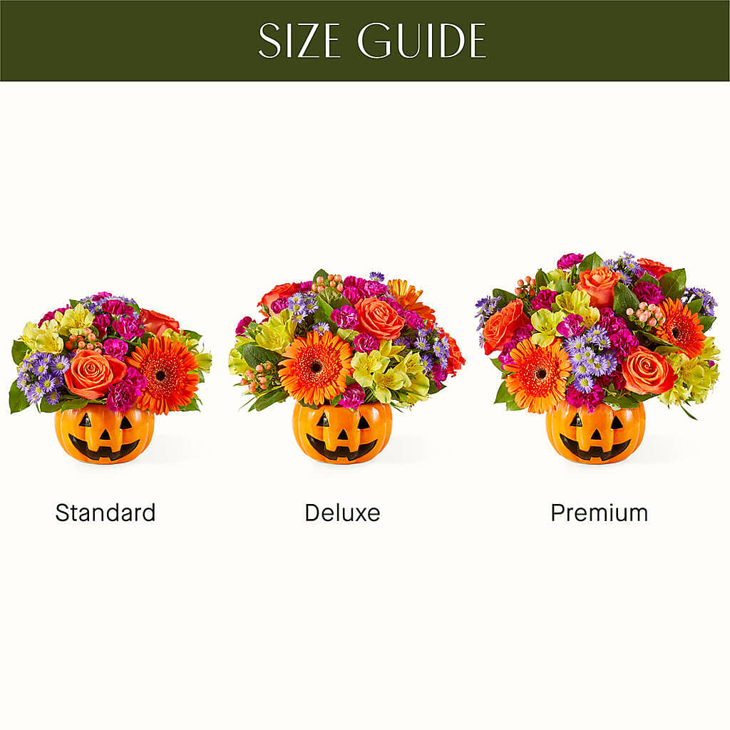 Tricks & Treats Pumpkin –  Still Blooming, Santa Fe TX