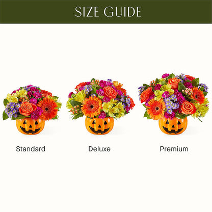 Tricks & Treats Pumpkin –  Still Blooming, Santa Fe TX