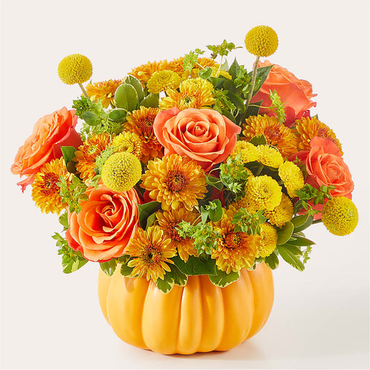 Gourdgeous Pumpkin –  Still Blooming, Santa Fe TX