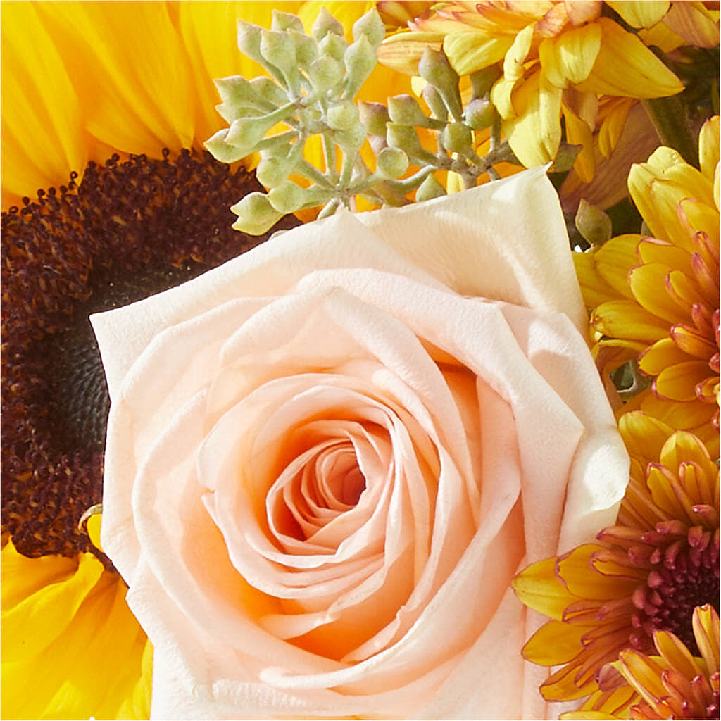 Pumpkin to Talk About Bouquet –  Still Blooming, Santa Fe TX