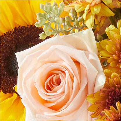Pumpkin to Talk About Bouquet –  Still Blooming, Santa Fe TX