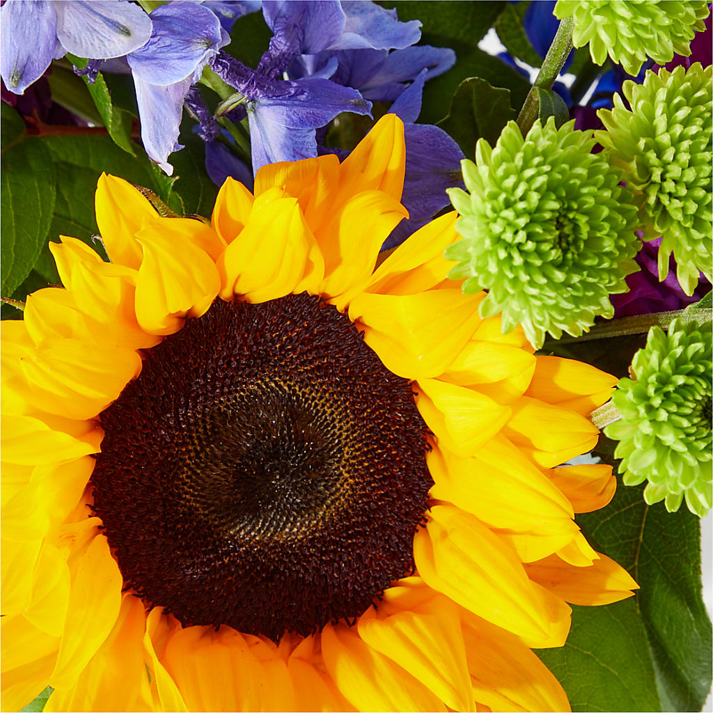 Catching Rays Bouquet –  Still Blooming, Santa Fe TX