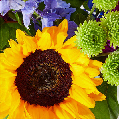 Catching Rays Bouquet –  Still Blooming, Santa Fe TX