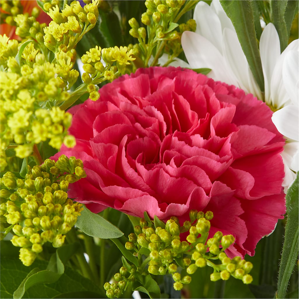 Oopsie Daisy Bouquet –  Still Blooming, Santa Fe TX