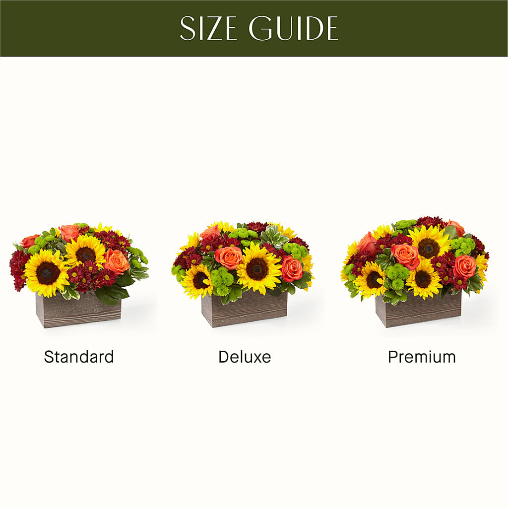 Happy Harvest Garden –  Still Blooming, Santa Fe TX