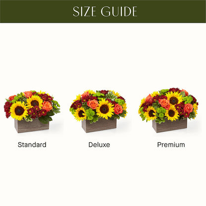 Happy Harvest Garden –  Still Blooming, Santa Fe TX