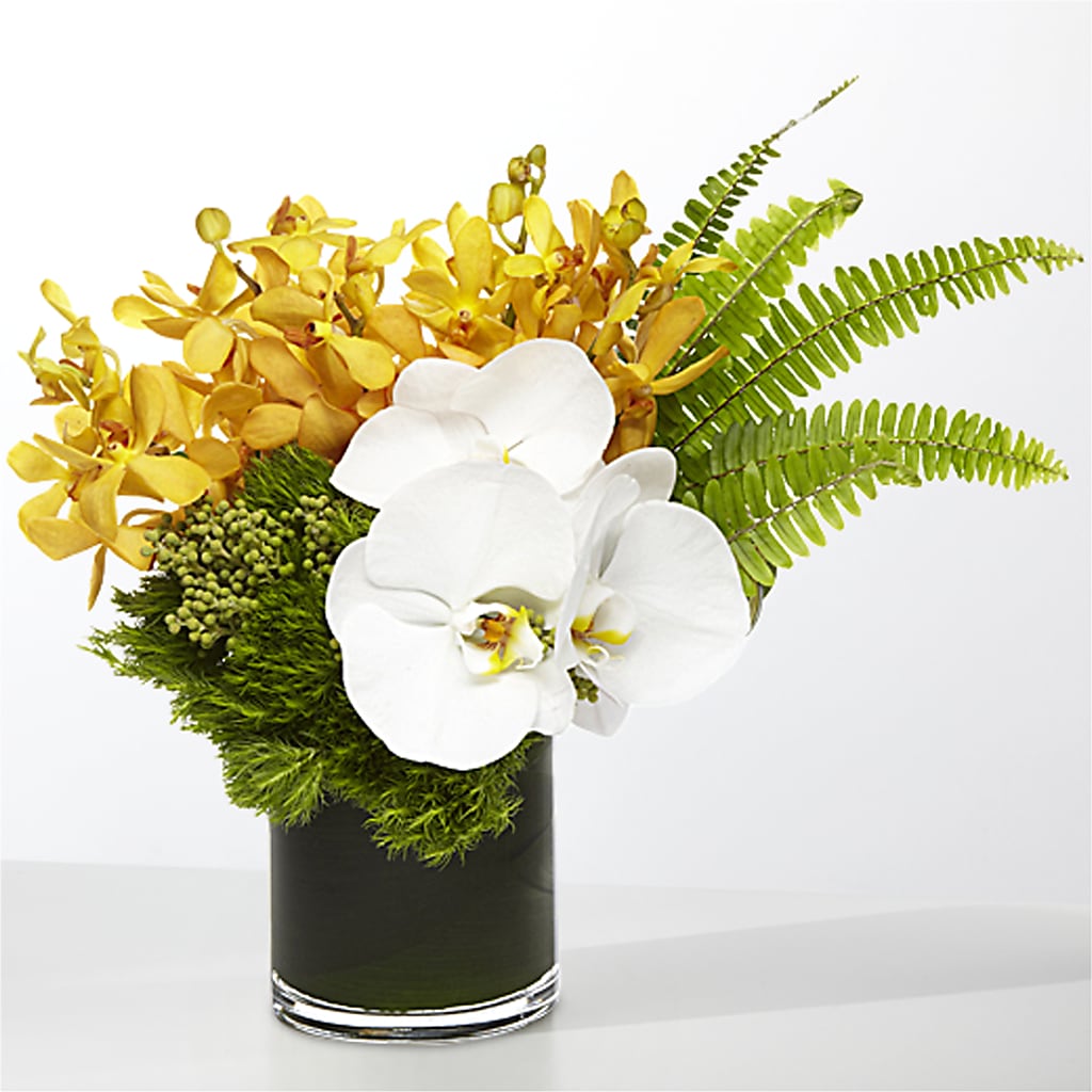 The Tropics –  Still Blooming, Santa Fe TX