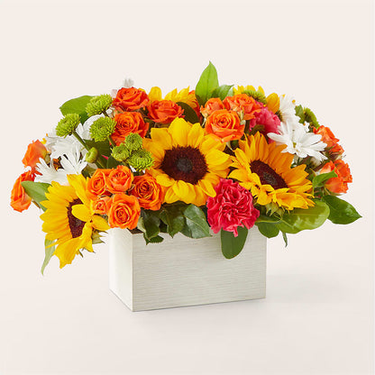 Sun-drenched Blooms Box Bouquet –  Still Blooming, Santa Fe TX