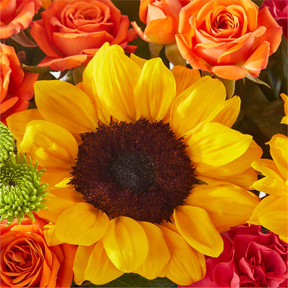 Sun-drenched Blooms Box Bouquet –  Still Blooming, Santa Fe TX