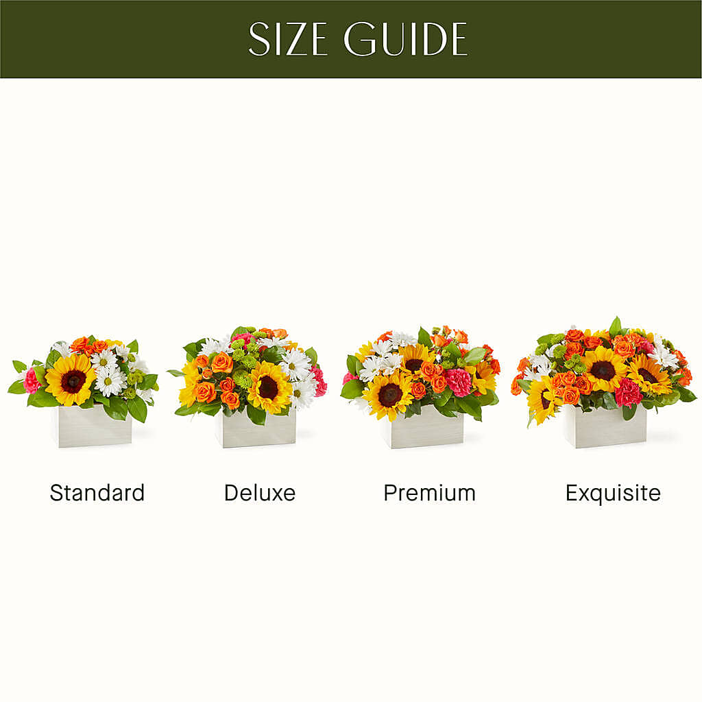 Sun-drenched Blooms Box Bouquet –  Still Blooming, Santa Fe TX