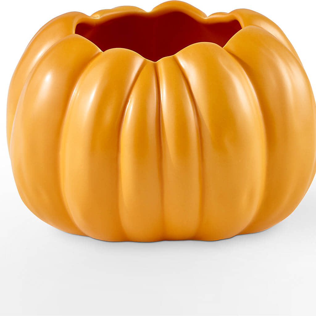 Golden Gourd Pumpkin Bouquet –  Still Blooming, Santa Fe TX
