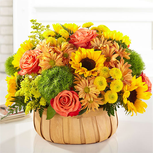 Harvest Sunflower Basket –  Still Blooming, Santa Fe TX