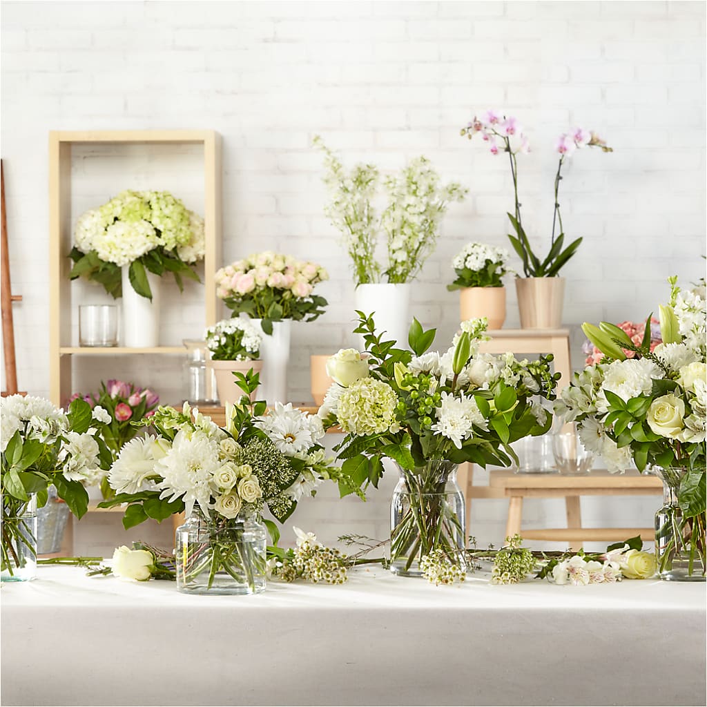 Classic Ivory – A Florist Original –  Still Blooming, Santa Fe TX