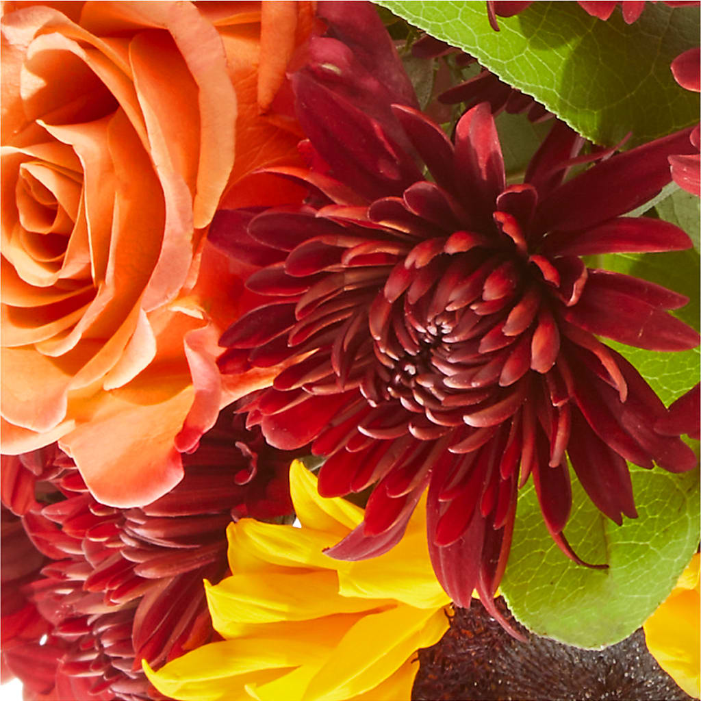 September Sunset Bouquet –  Still Blooming, Santa Fe TX