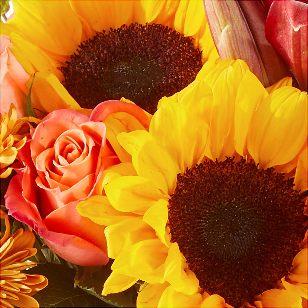 Acorn Lane Bouquet –  Still Blooming, Santa Fe TX