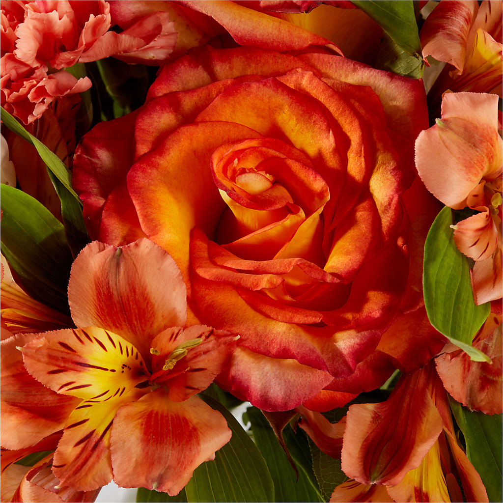 Apricot Glow Bouquet –  Still Blooming, Santa Fe TX