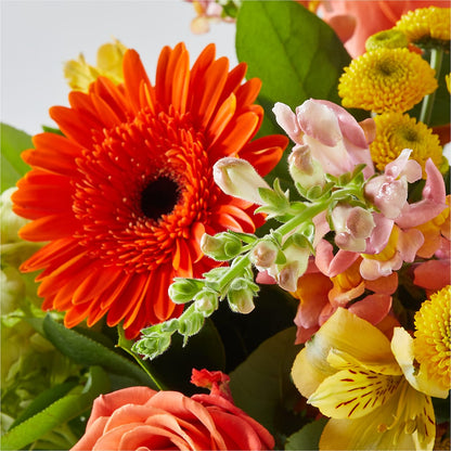 Autumn Sunshine Bouquet –  Still Blooming, Santa Fe TX