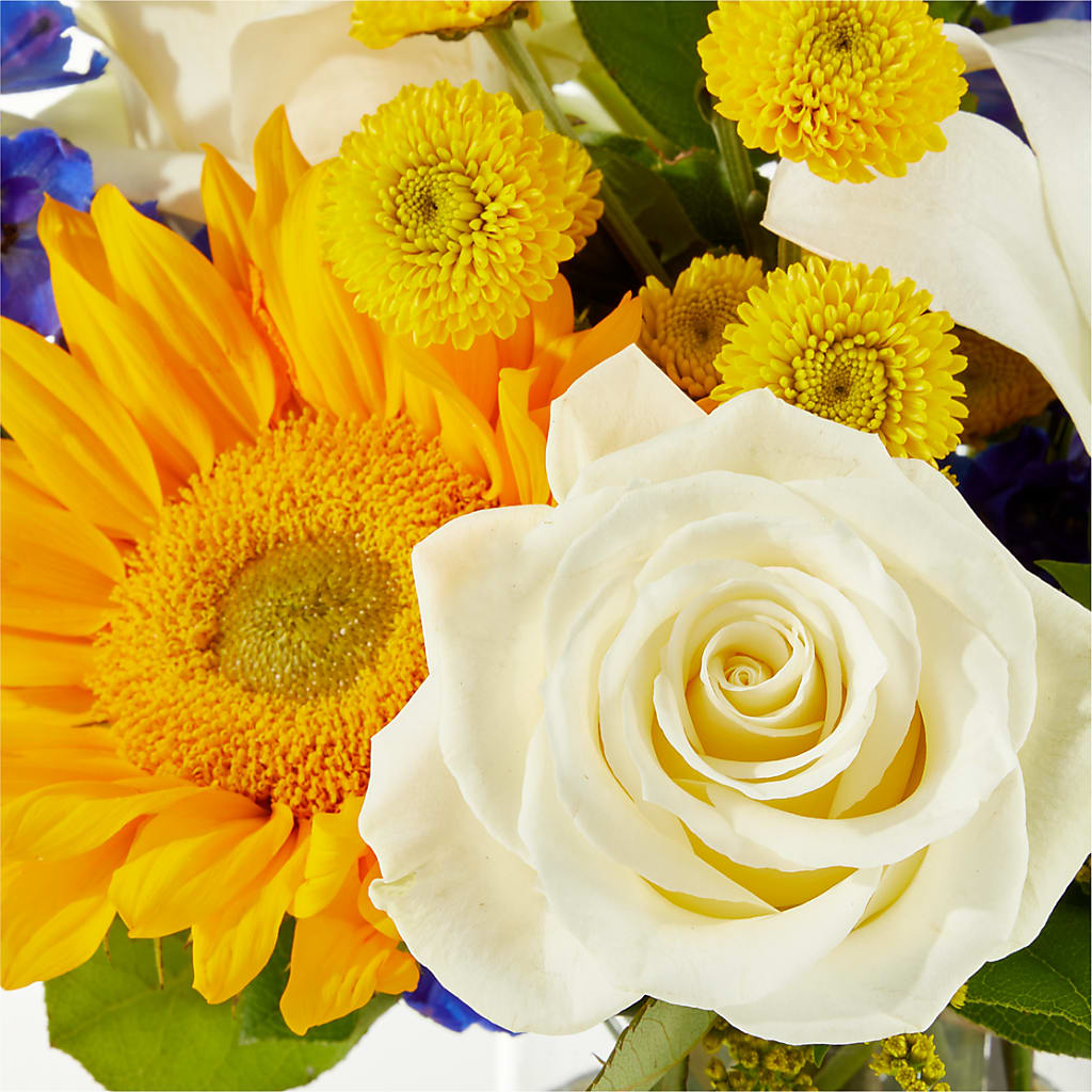 Stargazing Bouquet –  Still Blooming, Santa Fe TX