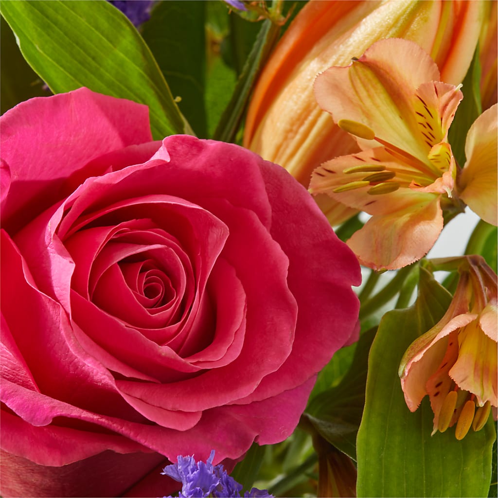 Joyful Bouquet –  Still Blooming, Santa Fe TX