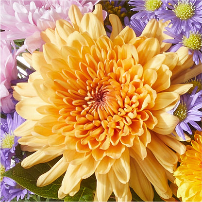Countryside Bouquet –  Still Blooming, Santa Fe TX