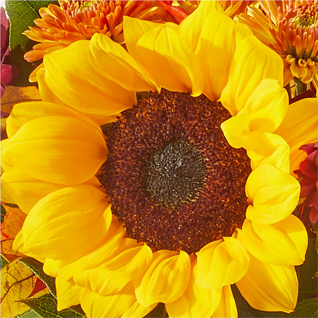 Sunny Side Bouquet –  Still Blooming, Santa Fe TX
