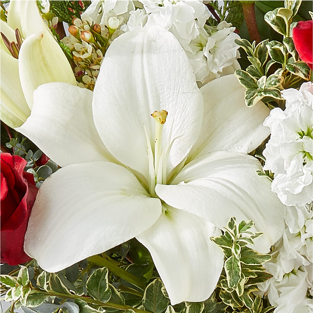 Twinkle Lights Bouquet –  Still Blooming, Santa Fe TX