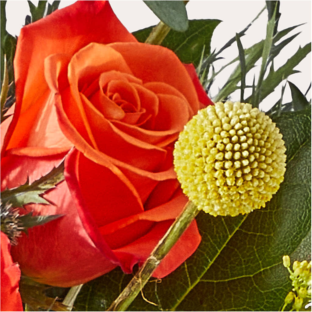 Disco Bouquet –  Still Blooming, Santa Fe TX